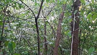 daring forest masturbation caught on pov