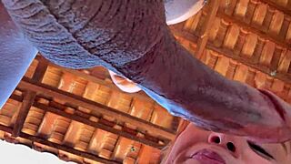 Cum in my mouth before work as I ride your cock rough