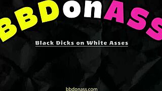 Chubby Brunette Cougar Hunts Two Cocks for Titty Fuck and Huge Tits Pussy Slam