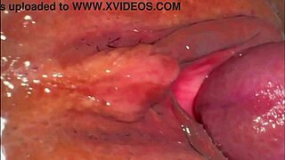 amateur asian wife licks shaved pink pussy 227 days post virginity loss close up