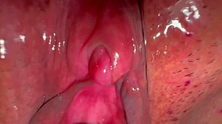 amateur asian wife licks shaved pink pussy 227 days post virginity loss close up