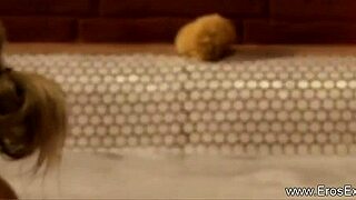 Asian Milf Cougar Teases Blowjob Pleasure