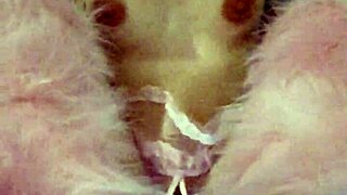 Pregnant milf Kitty creampied rough fucked giant dildo submissive screaming orgasm?