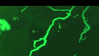 damn this hot mature indian amateur makes me wanna cum buckets