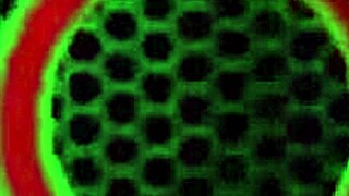 Blondes Sunny Lane Tease Big Clits And Pussy Lips In Wet Licking!