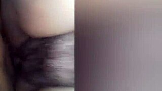 BBW Latina In Lingerie Worships Ass For Cuckold Humiliation