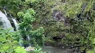 wanna watch busty besties danae marie and lacey jane suck cock on outdoor date