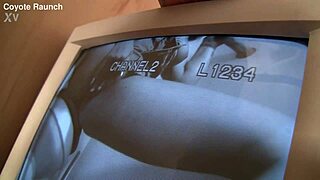 Talia Palmer Devours Monster Cock Through Glory Hole