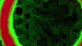 rome major bounces fiji falzzs phat ass so damn good